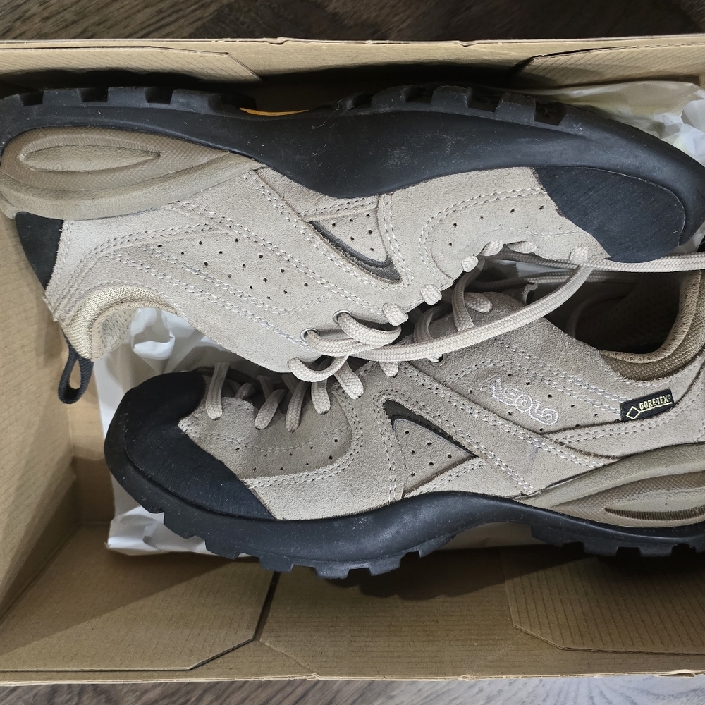 Asolo Gortex hiking shoes - Earth color